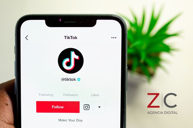 Pantalla de celular en TikTok / Cortesía de Canva