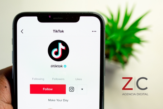 Celular en la app TikTok/ cortesía: Canva