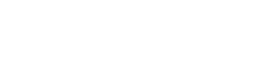 Agencia Digital ZC