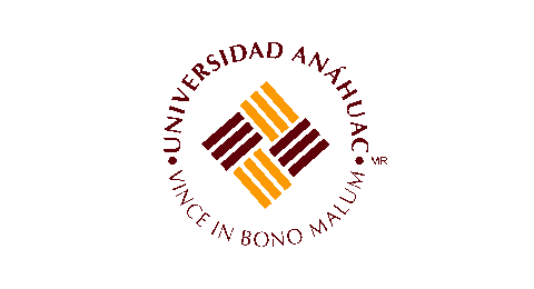 anahuac norte cliente proyecto agencia digital zc color