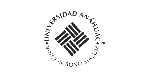 anahuac norte cliente proyecto agencia digital zc