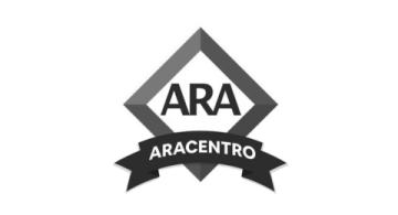 ara icon caso de exito agencia digital zc