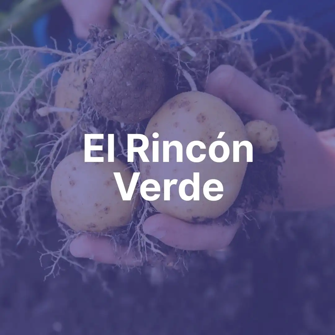 el-rincon-verde-portafolio-proyectos-agencia-digital-zc el rincon verde portafolio proyectos agencia digital zc