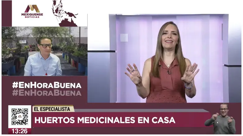 huertos medicinales tv proyecto el rincon verde