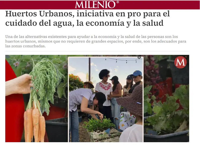 noticia milenio proyecto el rincon verde