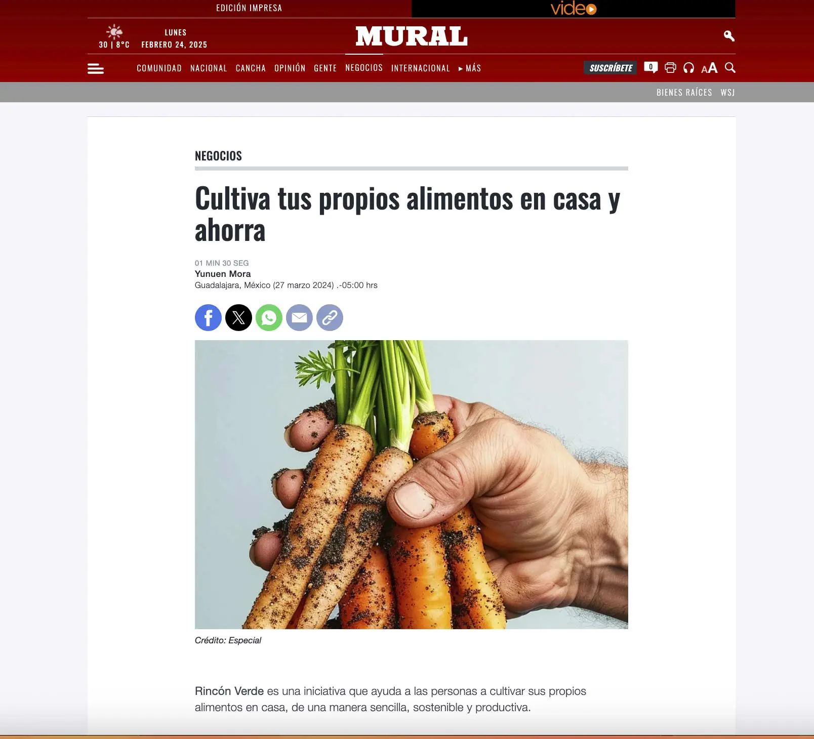 noticia mural proyecto el rincon verde