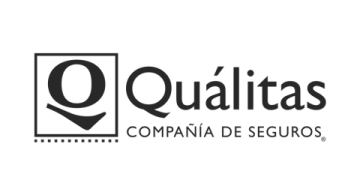 qualitas icon caso de exito agencia digital zc