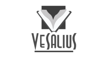 vesalius icon caso de exito agencia digital zc